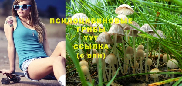 Альфа ПВП Балабаново