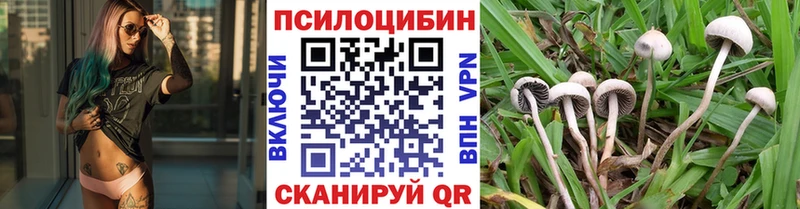 Псилоцибиновые грибы Magic Shrooms  Переславль-Залесский 