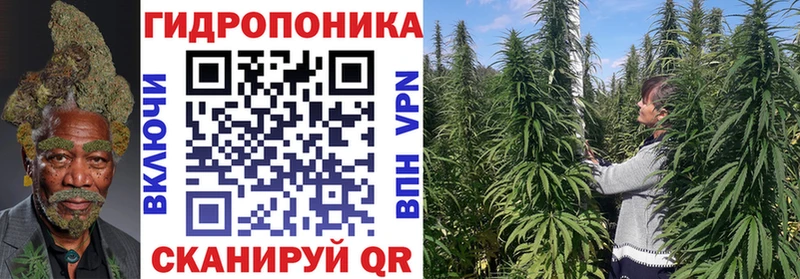 купить Переславль-Залесский Бошки Шишки Amnesia